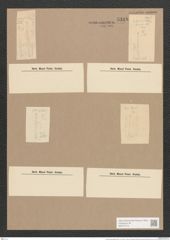 Synedra amphycephala Kuetz., (de-Toni-Nr.: Genus 66, Species 2605) Zeichnungen Sammlung Grunow Nr. 5318 (NHMW-BOT-W0373718)